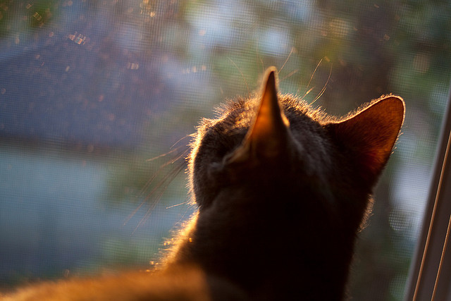 全国青少年篮赛精彩瞬间集锦，展现少年风采，2021年青少年篮球比赛