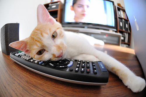 全国青少年“践行绿色”篮球比赛在湖北恩施顺利举办，全国青少年蓝球比赛