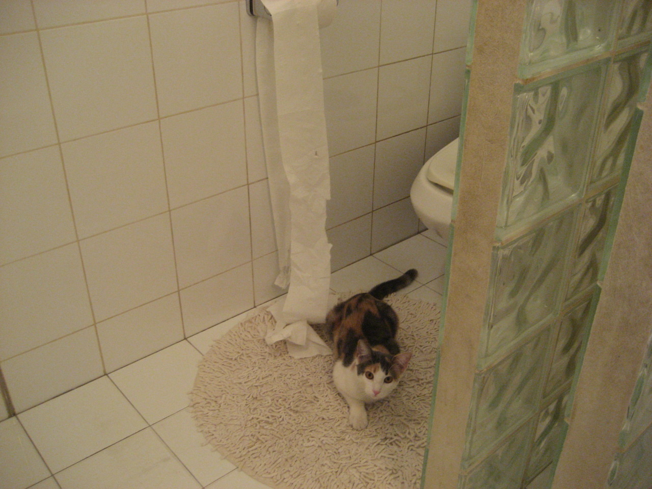 德甲爆发战,教练点评球队战术改革中的关键调整点,德甲的主张