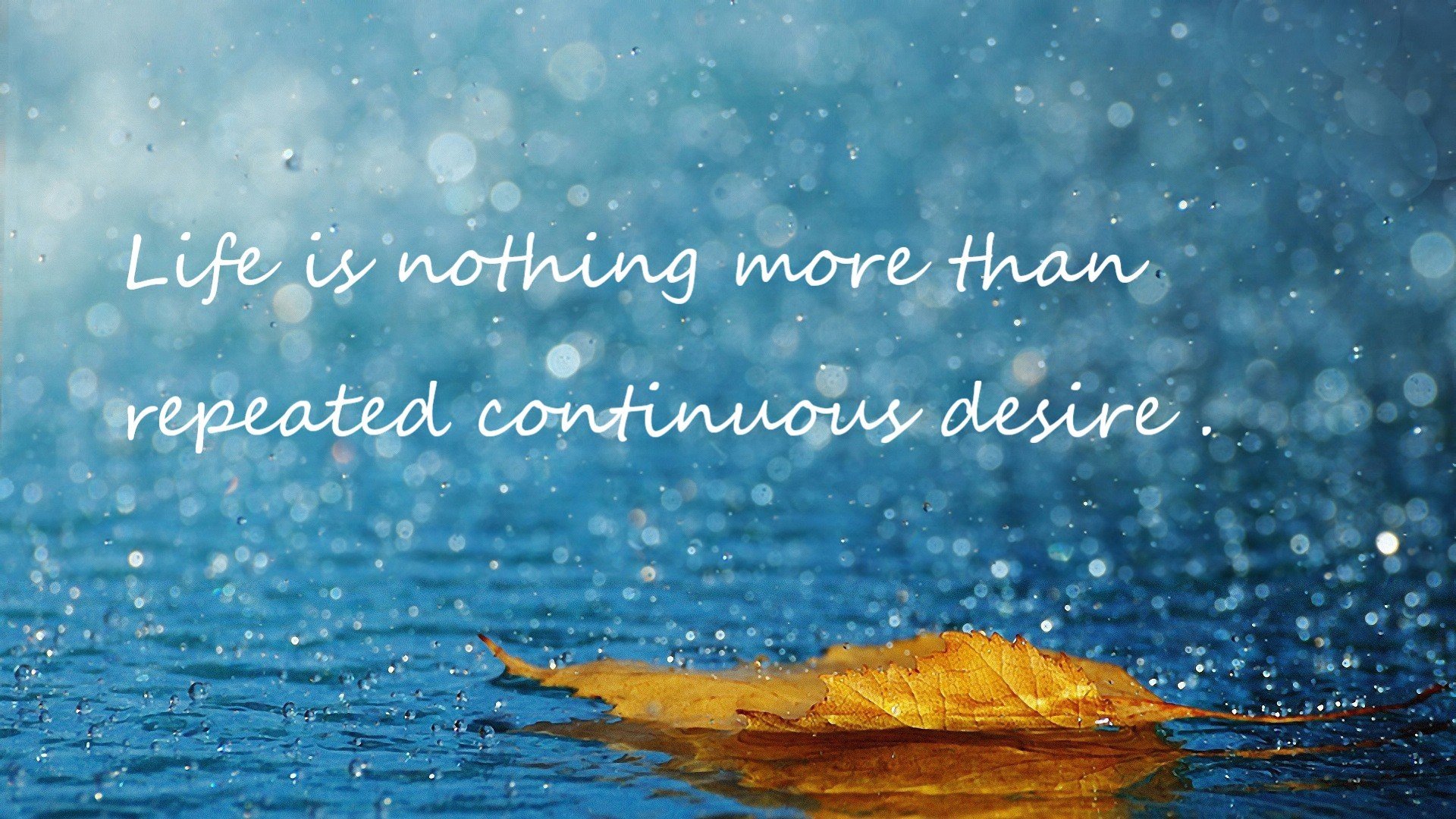 意大利骑手弗洛尔·德·温内在2024年欧洲三项赛锦标赛中获得个人铜牌,表现出色。