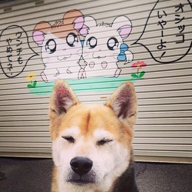 梅州客家客场表现出色,积分榜上升,梅州最有名客家饭店