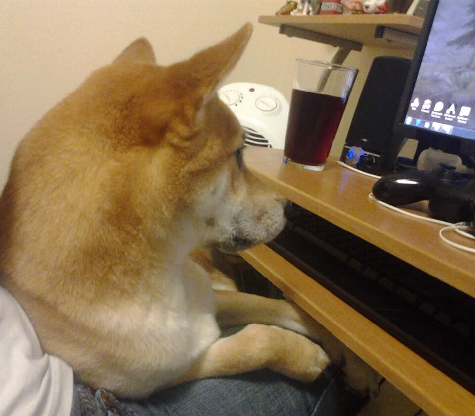 花样滑冰,冰上舞者展现优雅魅力,花样滑冰跳舞