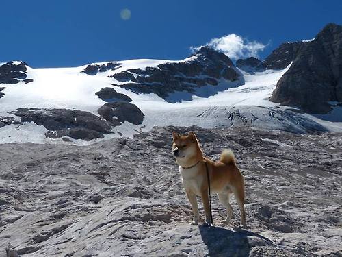 九游网-联赛风云变幻：那些意想不到的排名变化，各个联赛的风格