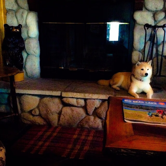 赛事观赛体验的变化:数字化带来新潮流,赛事开展