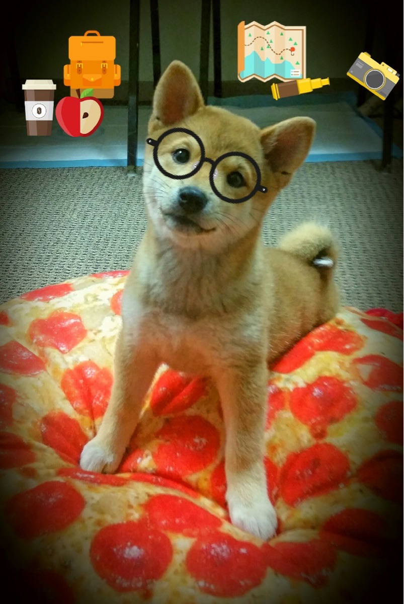 九游下载中心-费城76人在东部激战中稳步前进，夺冠希望不断升温，费城76人在哪个城市