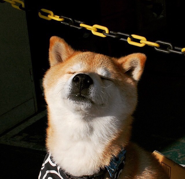 足球运动员权益保障体系不断完善,行业规范提升,足球运动员基本要求