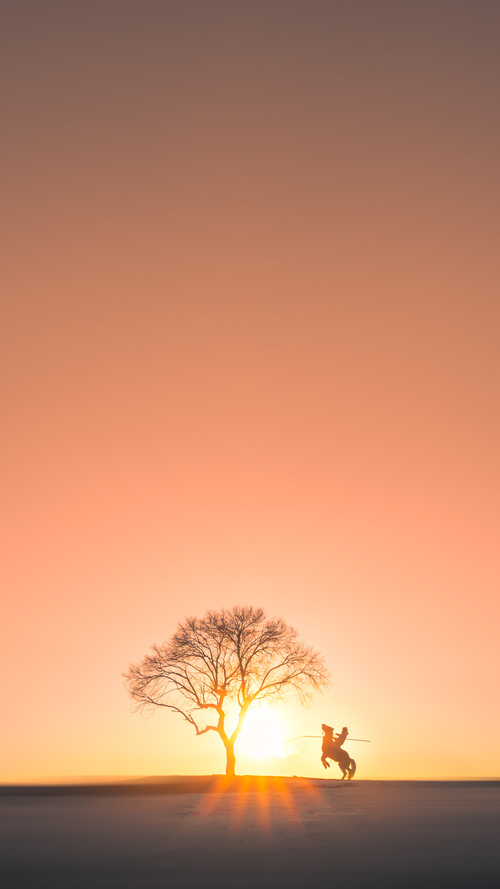 全力以赴,亚冠比赛各方角力相争,亚冠总结