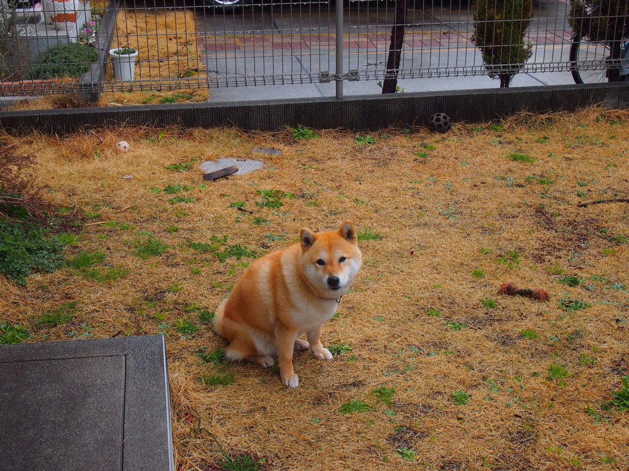 塞浦路斯战平克罗地亚,意外的平局或给小组赛增添不确定因素,塞浦路斯在亚洲的地理位置