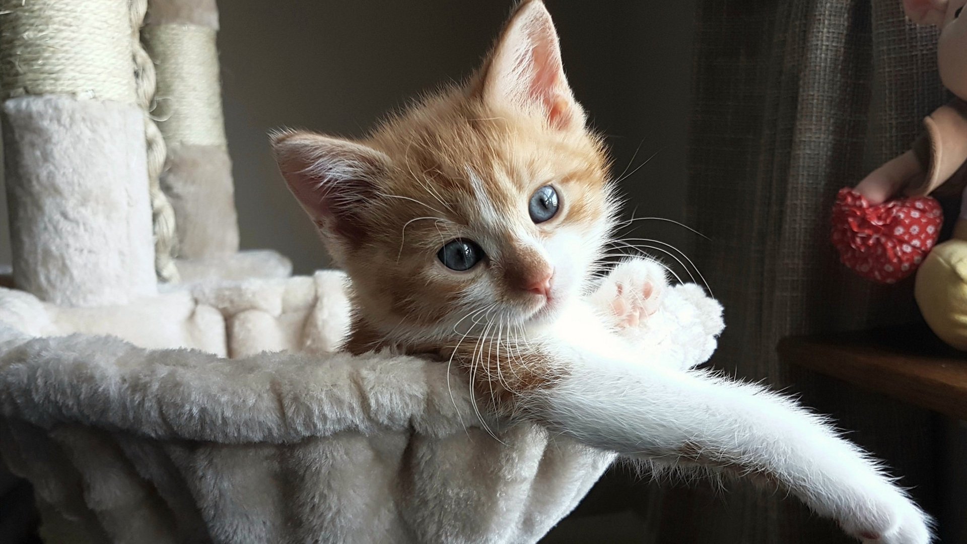 九游电脑版-季中交易是否能改变命运，季中什么意思