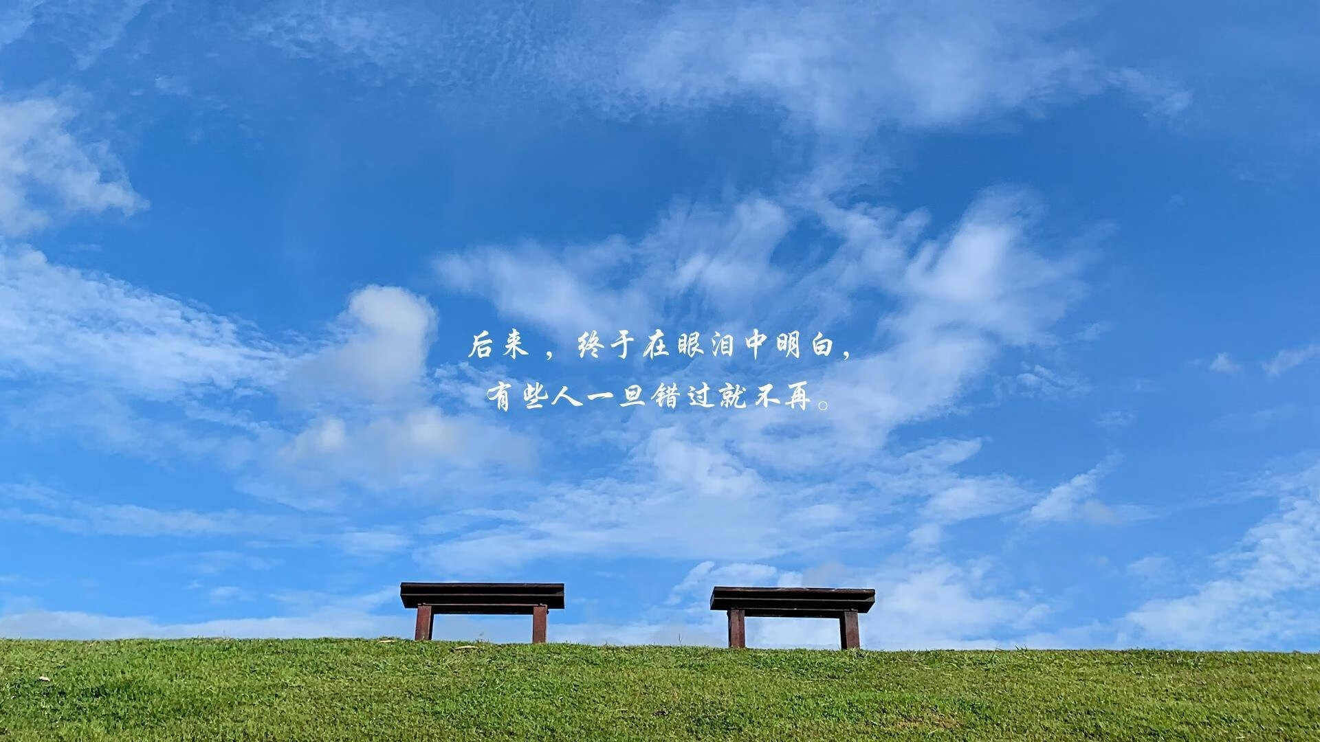 悉尼国王比赛节奏掌控出色,悉尼国王队球员名单