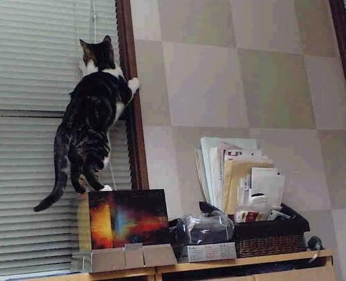 九游9游-意大利主场一箭射穿德国队铁桶防线，意大利德国比赛