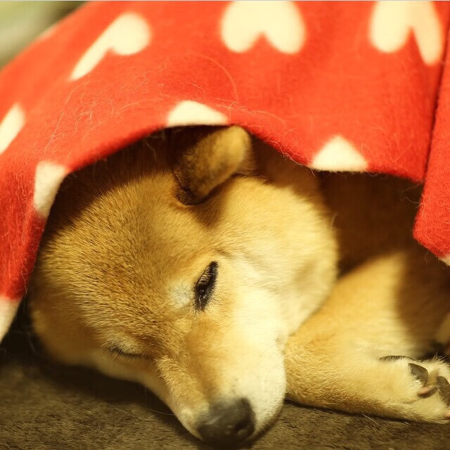 德甲青训计划中融入比赛焦虑识别机制的应用与反馈