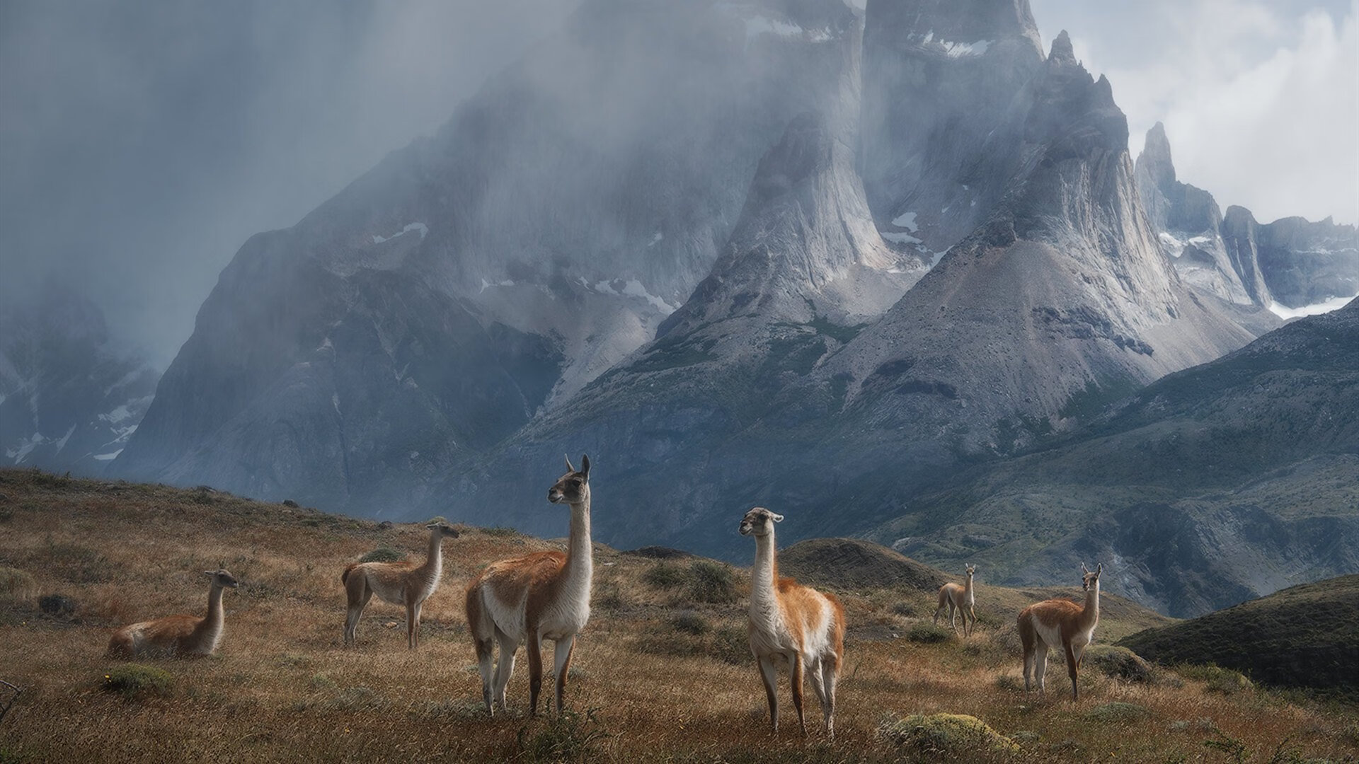 青少年体育训练体系完善,青少年体能训练体系