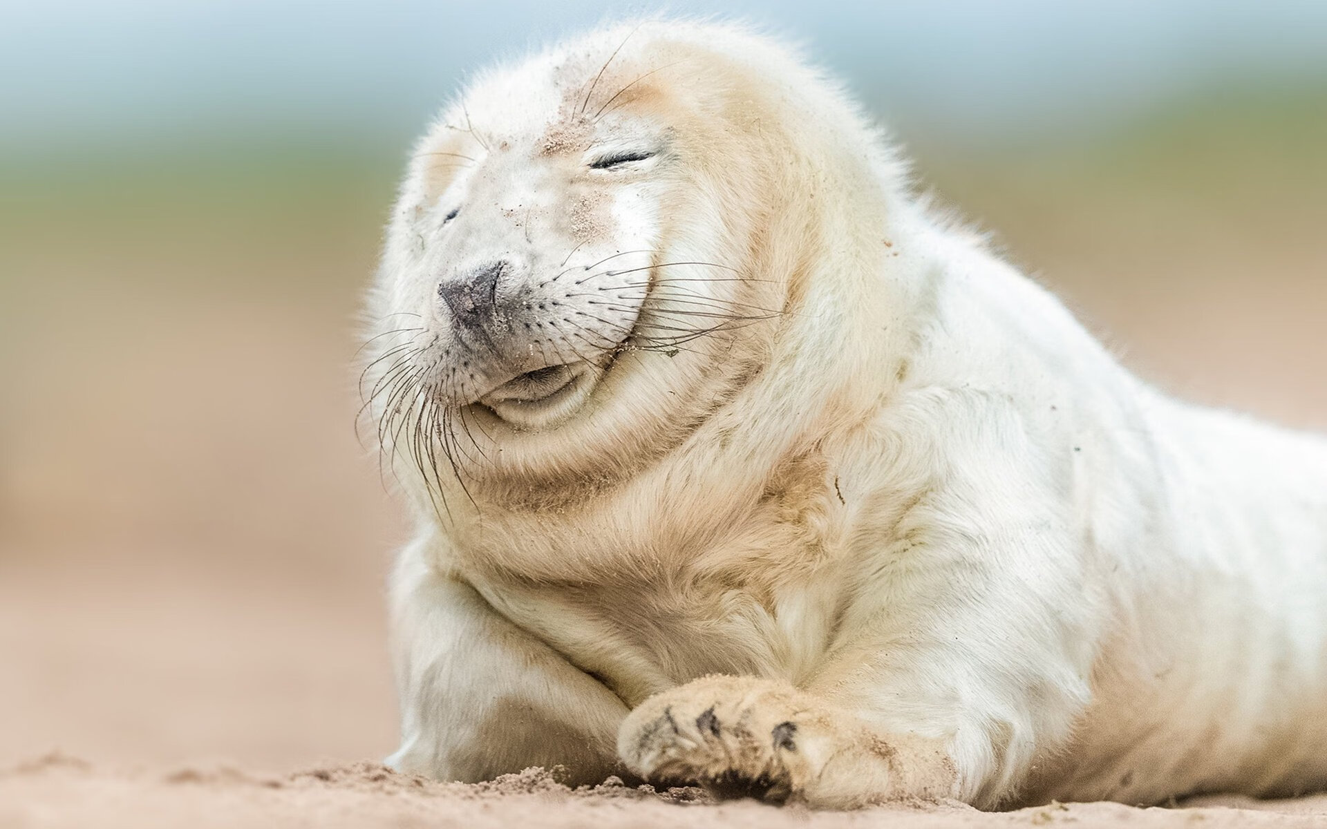 瑞典队在2024年世界杯赛场的优势与不容忽视的力量,瑞典世界杯预选赛