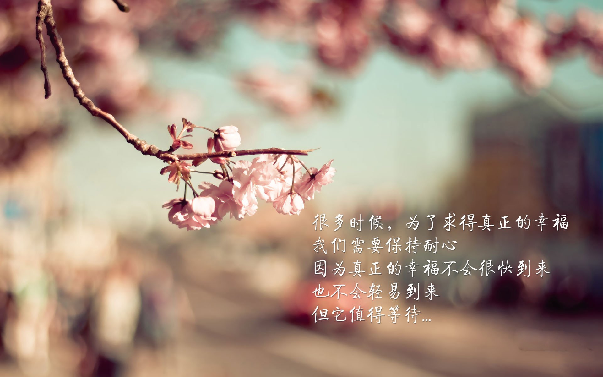 九游下载中心-威尔士橄榄球赛事吸引国际关注，未来有何看点？，威尔士橄榄球赛事吸引国际关注,未来有何看点