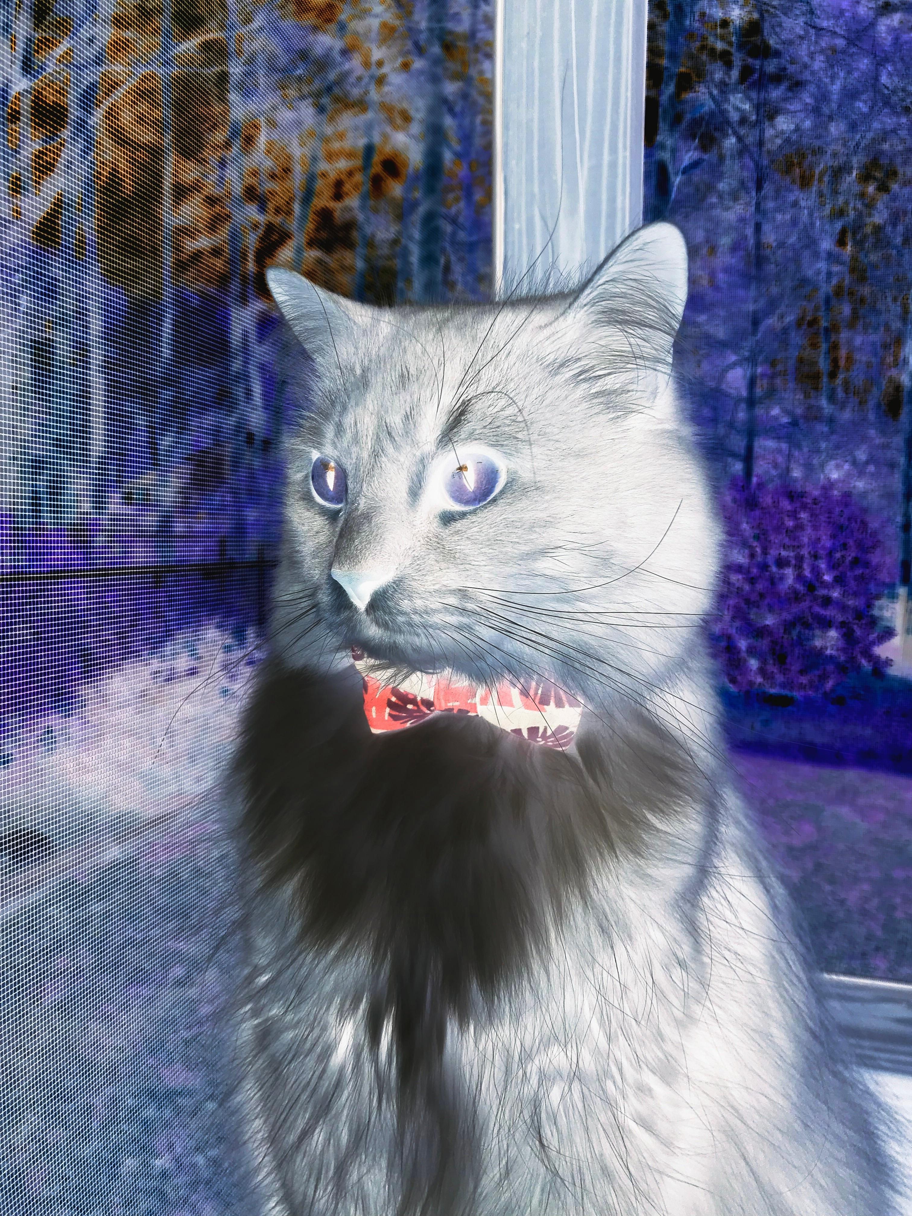 九游娱乐官网 (JIUYOU)-意甲攻防对决：攻势如潮防守坚韧，意甲防守怎么这么严