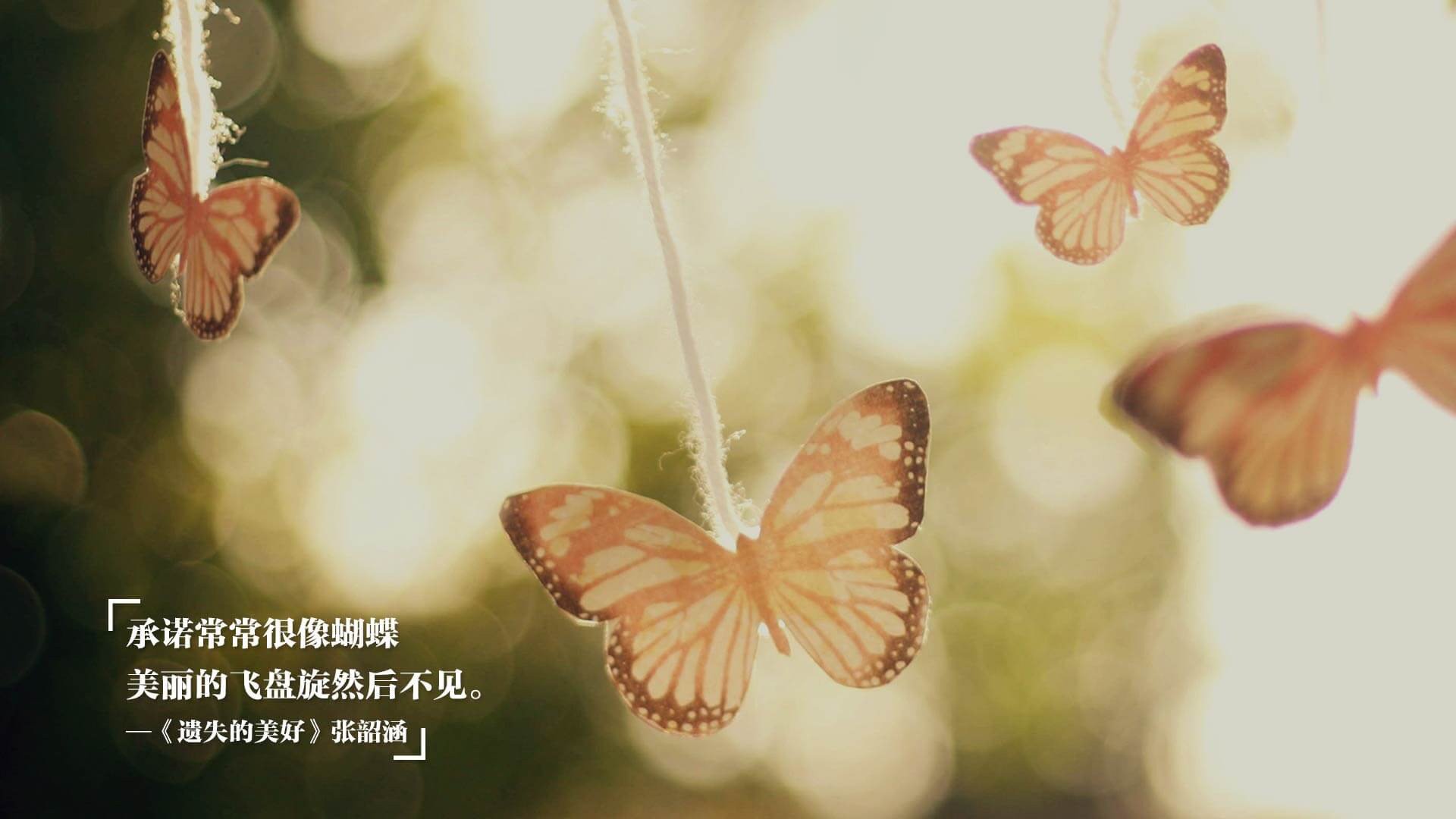 九游登录中心-比利时男篮在欧洲预赛中奋勇直前，冲击奥运荣誉，比利时男篮什么水平