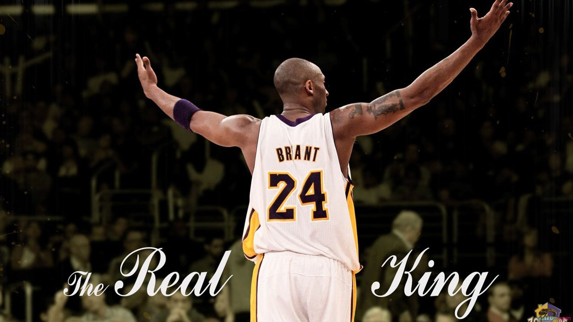 九游下载安装-NBA联盟裁判员执法公正性研究，nba最公正的裁判